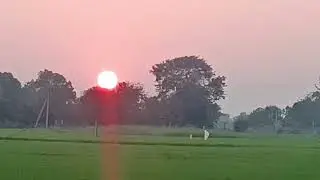 Hamara gram farm fields @journeyofmylyfe #youtube #trending #ytshorts #viral #farming 