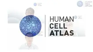HCA General Meeting 2021 (virtual) - Day 1 and 2 Bionetwork Synopsis