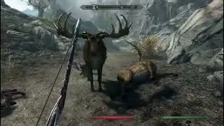 Elk mourning it&rsquo;s partner