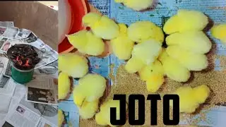 ZINGATIA HILI 👉 KAMA ULIPO KUNA JOTO BASI LAKINI KAMA KUNA BARIDI VYANZO VYA JOTO NI MUHIMU SANA. 
