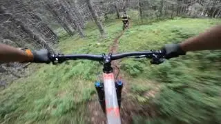 M&aring;nen DH - Trondheim stisykling/enduro/mtb