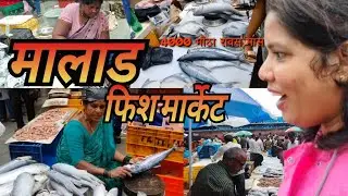 मालाड फिश मार्केट ! SASTA MACHI MARKET MALAD WEST! #viral #mumbai #fish #subscribe