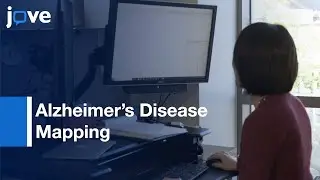 Mapping Alzheimer's Disease to Target Genes by Chromatin Configuration