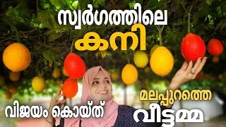 Gac Fruit | Gac Fruit Farming | വീട്ടമ്മമാര്&zwj;ക്ക് നല്ലൊരു മാര്&zwj;ഗം |Gac Fruit Recipes | Naiza's World