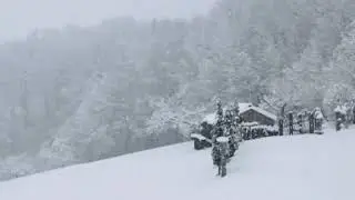Dicke Flocken - Stade Zeit - I mog des so gern.  