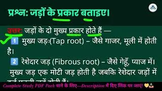 जड़ों के प्रकार बताइए।(Jadon ke prakar batayiye.)12