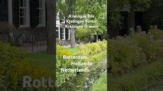 Kralingen Forest Zuid Holland Netherlands Hollanda Wanderer