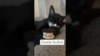 Oreo-double stuffed with sweetness