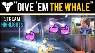 Destiny Stream Highlights - 