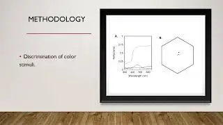 Benefits and costs of color learning in look of making the optimal diet choice... [Juan Hern&aacute;ndez]