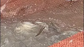 Daily view of my village fishing 
