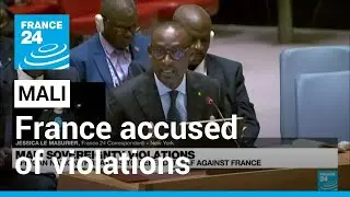 Mali threatens to defend against French sovereignty violations &bull; FRANCE 24 English