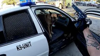 I bought an ex SHERIFF K9 UNIT! Found a CZ75B Biscuit!