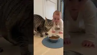 Look at the Eyes of This Cat While Eating... Hypnotic Stare You Can't Look Away From! 😻🍽️🔥