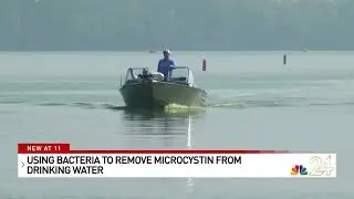 NBC 24: Using Bacteria to Remove Microcystin From Drinking Water