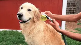 Wondurdog Garden Hose Attachment For Dog Washing