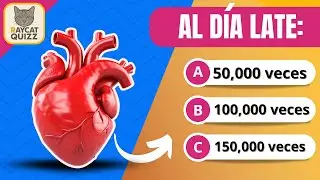 ¿Cuánto sabes del cuerpo humano? 🧠💪 | 65 preguntas de ANATOMÍA