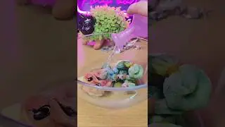 Build-a-Bear Tie Dye Machine! #asmr #buildabear #nostalgia #tiedye