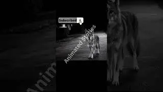 Creepy Animal Caught on Night Vision CCTV Making Human-Like Gestures| kids video | Animated Stories