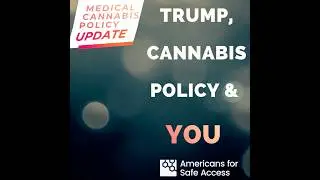 Medical Cannabis Organizing in 2026: ASA Patient Advocate Meeting #medicalcannabis #safeaccessnow