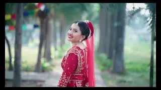 BEST Wedding HIGHLIGHT 2025| Cinematic Haldi Highlight 2025 | PR FILMS STUDIO | 𝙋𝙧𝙤𝙛𝙚𝙨𝙨𝙞𝙤𝙣𝙖𝙡 𝙎𝙚𝙧𝙫𝙞𝙘𝙚