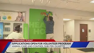 St. Louis County opens applications for Animal Shelter Volunteer Pilot Program