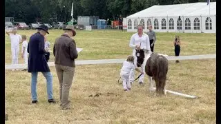 Kijkje nemen bij de Hynstedagen in Sumar en Garyp 😊 #2022-101