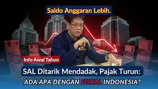 SAL Ditarik Mendadak, Pajak Turun: Ada Apa dengan Fiskal Indonesia?