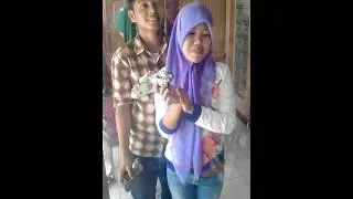 Irham moko6
