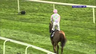 2016 Horse Of The Year Nominee - Annie Power