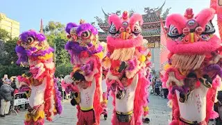 【台北慶和舘-醒獅團＆北邑民社舘-技術龍】~115艋舺四面佛血虎將軍往大安三皇宮開光啟靈回鑾遶境