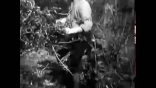 The Battle Royal 1916 OLIVER BABE HARDY Plump and Runt Willard Louis