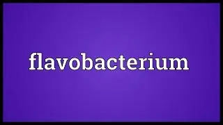 Flavobacterium Meaning