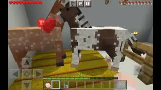 мои 4 лошади родили новый коновоз  новые жеребята🐎🐎🐎🍎🍩 милота новый мод