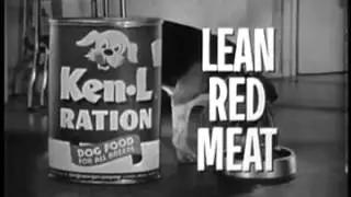 VINTAGE & ADORABLE EARLY 1960's KEN L RATION COMMERCIAL - PUPPY BEAGLE