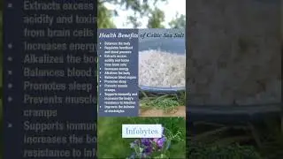 Some Incredible Benefits Of Celtic Sea Salt! #healthytips #facts #health #Celticseasalt #didyouknow