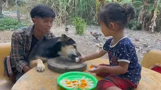 My kind daughter feeding eggs to dogs - Homemade dog food