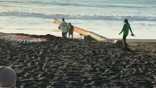 Family Trip to the Pacific Ocean | Our California Life 🌊