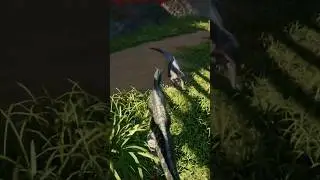 Epic carno vs teno | The Isle #epicbattle #theisle #dinosaur #gaming #shorts #carnotaurus