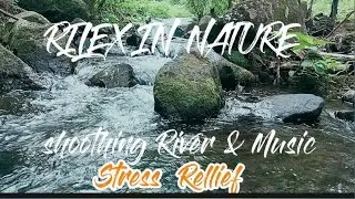 Healing River Sound with Soft Music &ndash; Tropical Nature Therapy for Deep Relaxation 🌿🎵