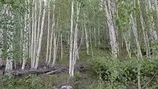 Old Dillon Resevoir Trail, Dillon, CO