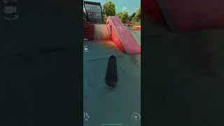 Skate park adventures