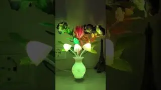 mushroom shape multicolour LED offer #offer #ad #led