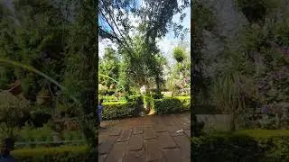 Munnar Diaries 🏞️