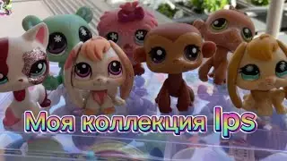 Lps || вся моя коллекция Littlest Pet Shop 🧐🐶// M collector 🩷2024