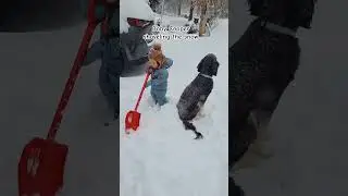 Baby Cooper shoveling the snow #cute #baby