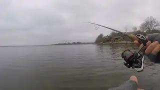 Horsens fjord når den er bedst 🎣