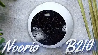 Noorio B210 - Affordable Wireless Security! Small But Mighty