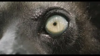 Rose Summers Showreel 2023