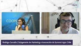 ¿Cómo combatir las plagas en medio del calor y la falta de agua?